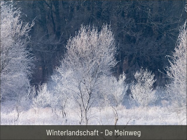Winterlandschaft - De Meinweg