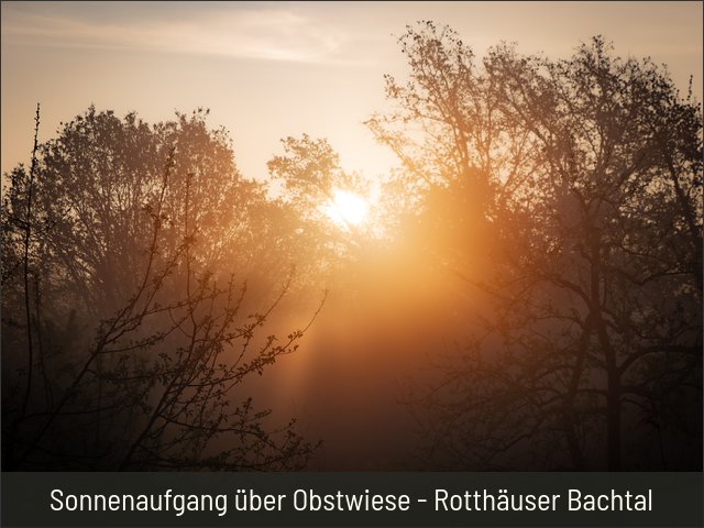 Sonnenaufgang über Obstwiese - Rotthäuser Bachtal