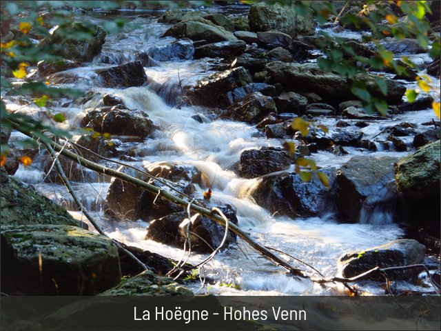La Hoëgne - Hohes Venn